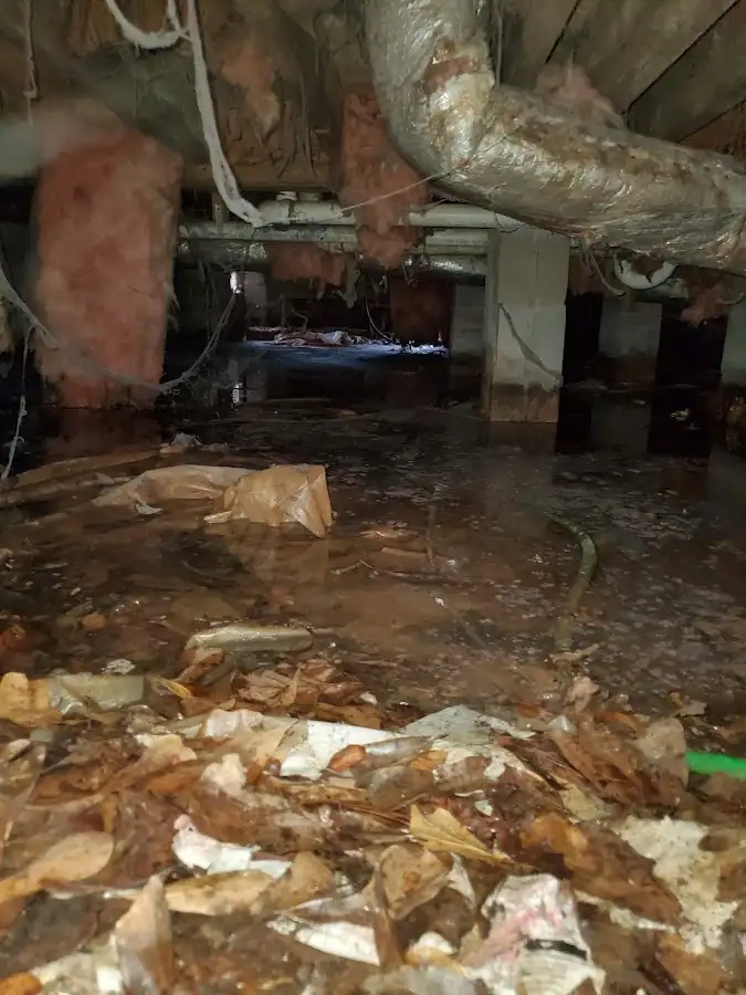 Crawl space flood assessment for Leak Detection & Repair in Jordan